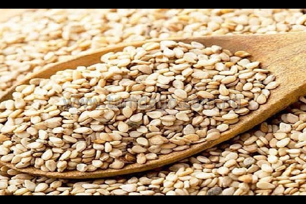 Sesame Seeds
